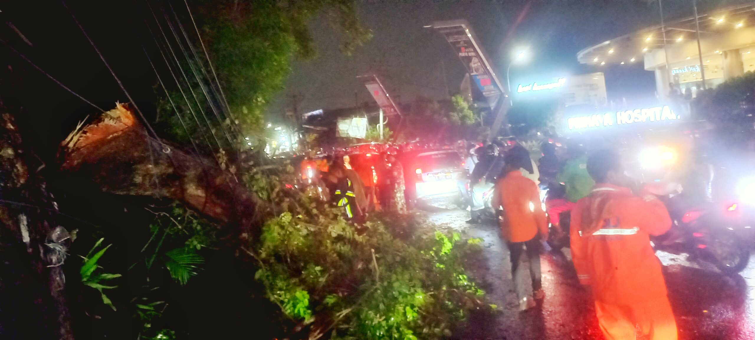 Hujan lebat beserta angin kencang menumbangkan satu pohon besar yang berdiri di seberang Primaya Hospital, persisnya disisi jalan Kali Abang Tengah, Teluk Pucung, Bekasi Utara, pada Rabu, 17 April 2024.