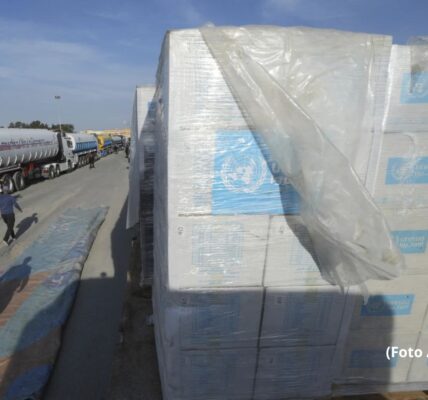 Truk pengangkut bantuan kemanusiaan UNRWA bersiap menyeberangi perbatasan Rafah antara Mesir dan Jalur Gaza, Minggu, 19 Januari 2025. (Foto AP/Amr Nabil)